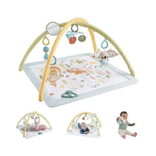 Fisher-Price Baby Playmat Simply Senses Newborn Gym