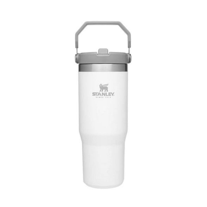 STANLEY IceFlow Stainless Steel Tumbler with Straw Leak Resistant Flip