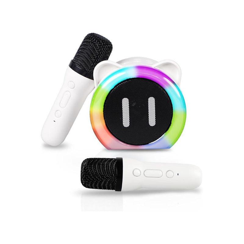 Mini Karaoke Machine with 2 Microphones