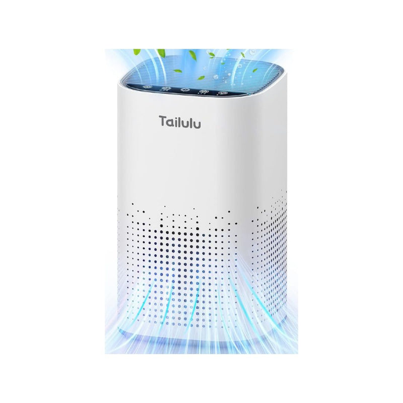H13 HEPA Air Purifier
