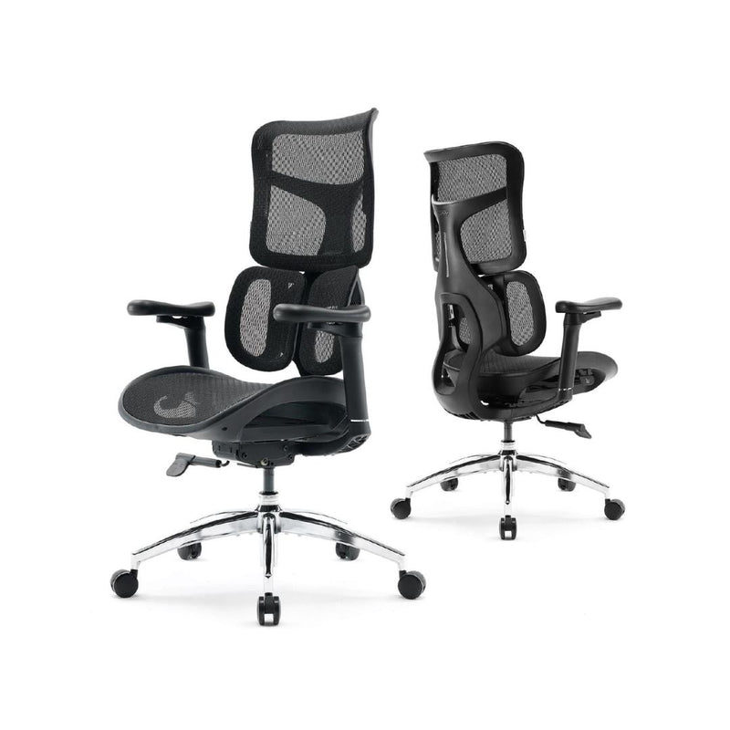 Ergonomic Office Chair with Lumbar Support