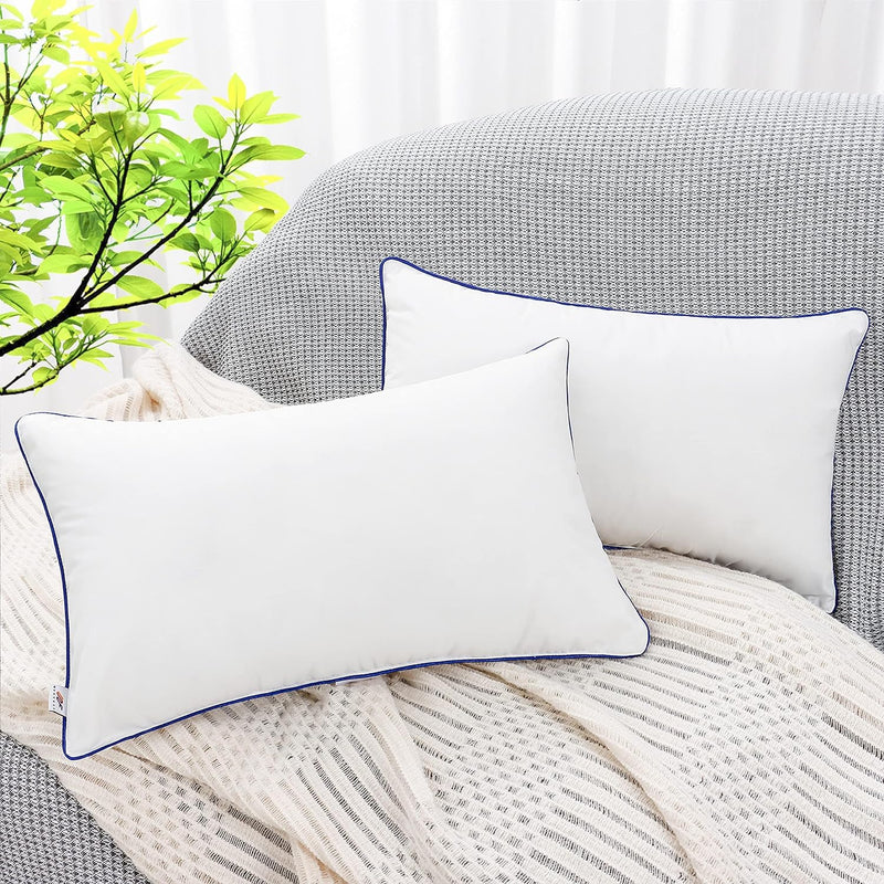 Set of 2 Throw Pillow Insert