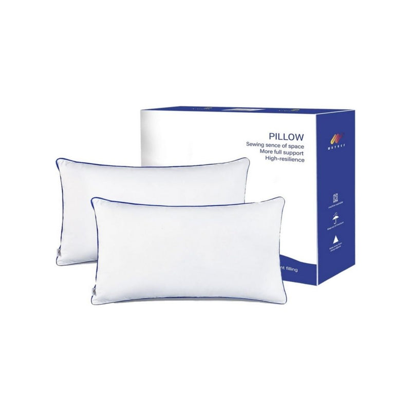 Set of 2 Throw Pillow Insert