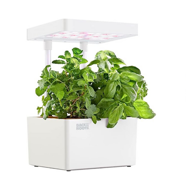 Back to the Roots Hydroponic Grow Kit