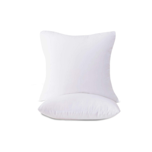 Set of 2 Throw Pillow Inserts Via Amazon