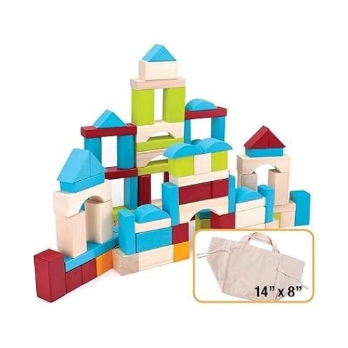 100 Piece Natural Wooden Building Block Set