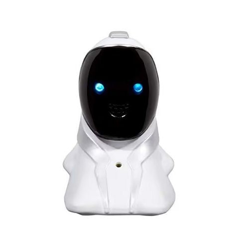 Little Tikes Tobi Friends Interactive Electronic Voice-Activated Toy