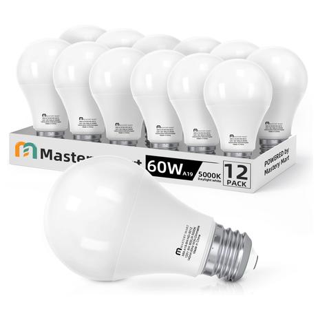 12 LED Light Bulbs