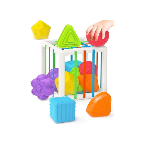 6-Pcs Montessori Baby Sorter Cube
