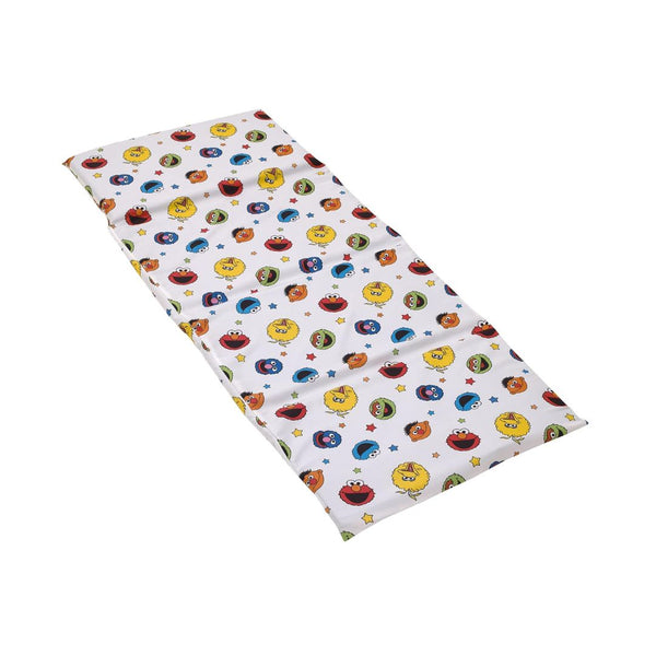 Sesame Street Preschool Nap Pad Sheet