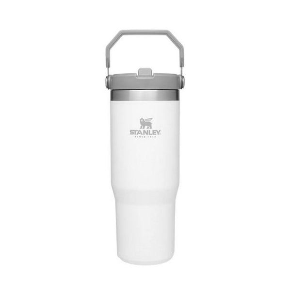 STANLEY IceFlow Stainless Steel Tumbler with Straw Leak Resistant Flip