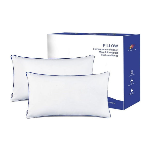 Set of 2 Pillow Insert