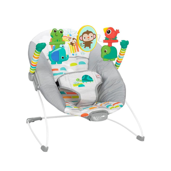 Bright Starts Playful Paradise Comfy Baby Bouncer Seat