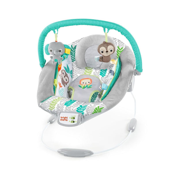 Bright Starts Comfy Baby Bouncer Soothing Vibrations Infant Seat