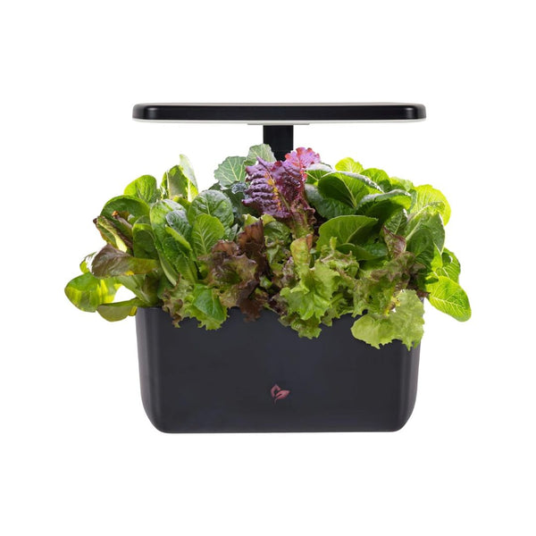 AeroGarden Harvest 2.0, Indoor Garden Hydroponic System
