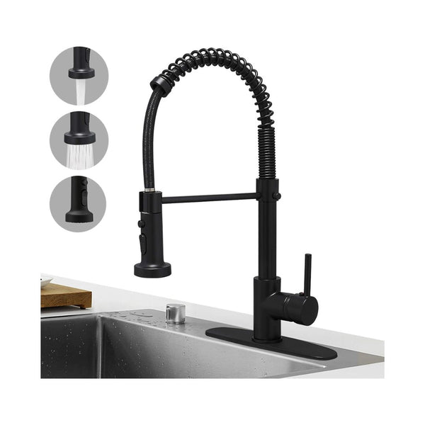 Spring Kitchen Faucet with Pull Down Sprayer