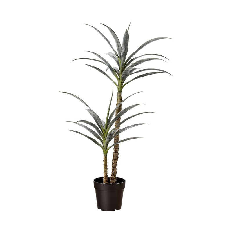 Amazon Basics Artificial Yucca Plant with Plastic Nursery Pot