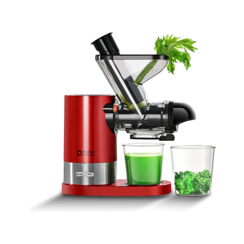 Slow Masticating Juicer Machine