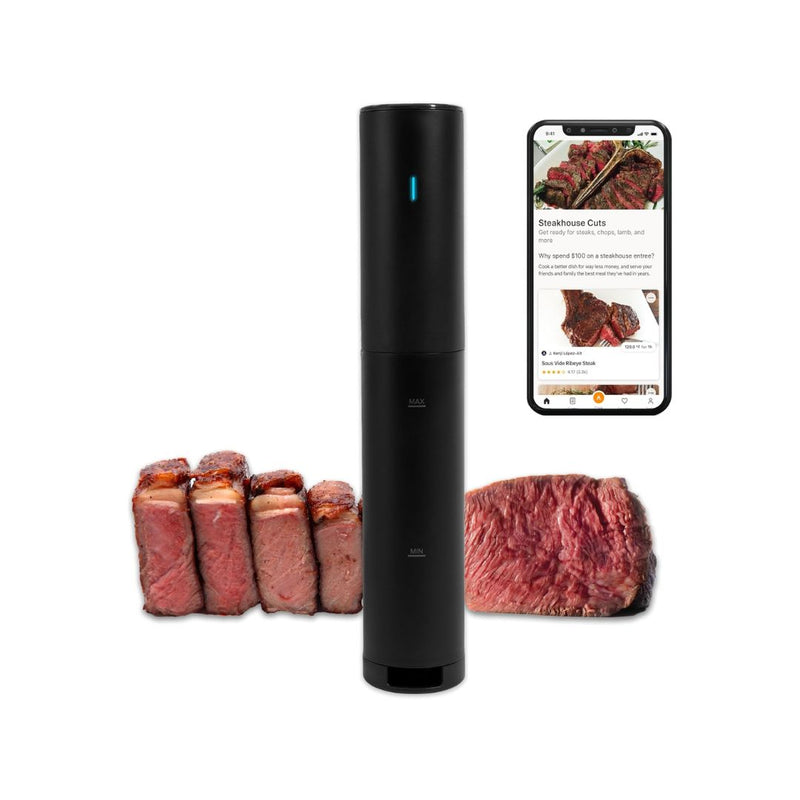 Anova Culinary Sous Vide Precision Cooker Mini Lite