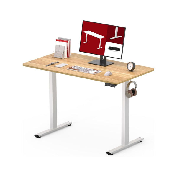 Height Adjustable Electric Stand Up Desk