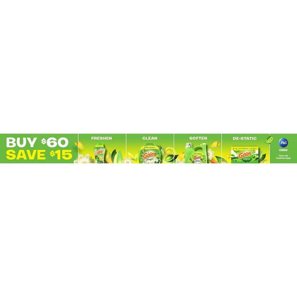 Buy $60 and Save $15 on GAIN Products!