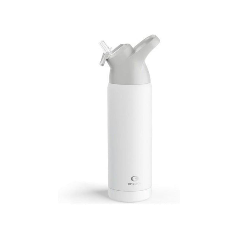 Stainless Steel Insulated Water Bottle with Straw