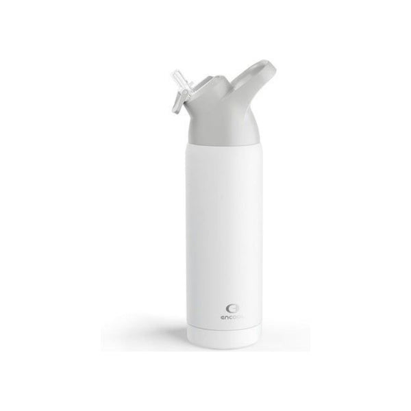 Stainless Steel Insulated Water Bottle with Straw