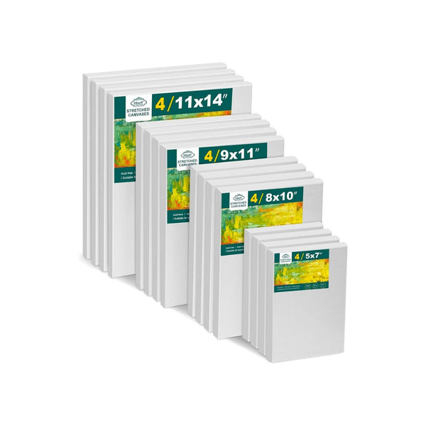 16-Pack Painting Canvases
