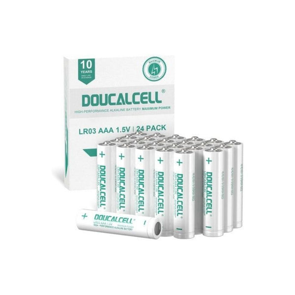 24 AAA Batteries