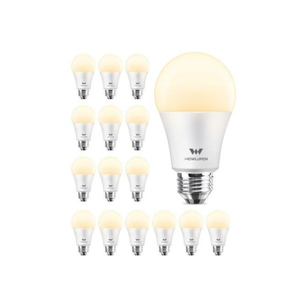 16 A19 LED Light Bulbs