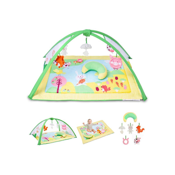 Baby Play Gym with 6 Detachable Toys