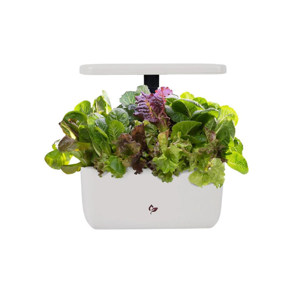 AeroGarden Harvest 2.0 Indoor Garden Hydroponic System