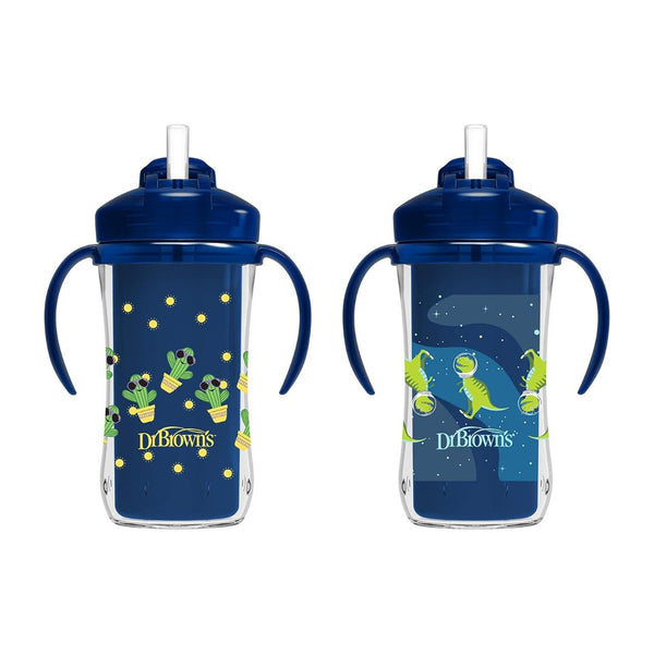 2-Pack Dr. Brown's Milestones Insulated Sippy Cup with Straw and Handles