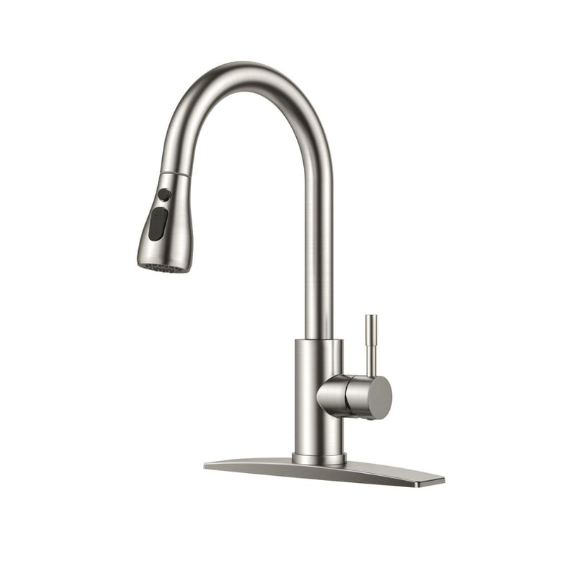 Kitchen Faucet with Pull Down Sprayer