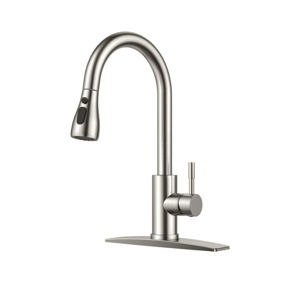 Kitchen Faucet with Pull Down Sprayer