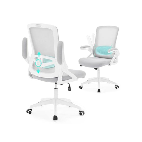 Ergonomic Office Chair