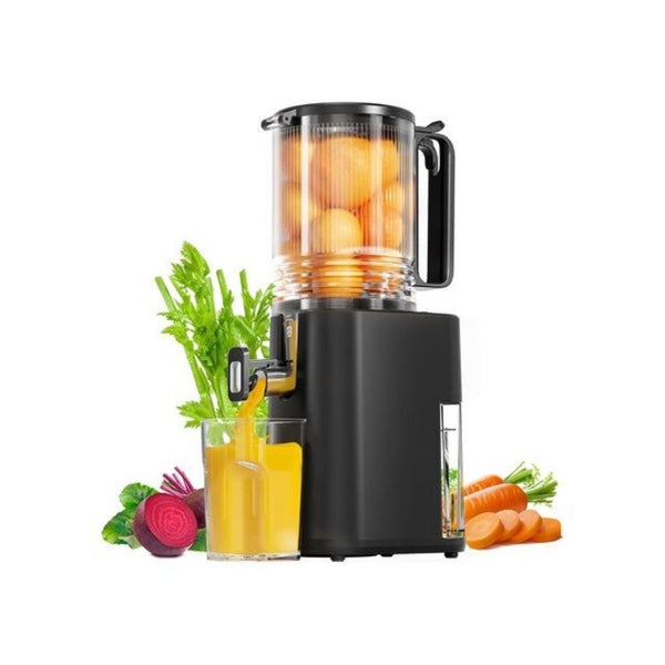 Cold Press Slow Juicer
