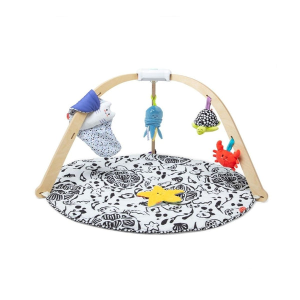 Melissa & Doug Ocean Wooden Baby Play Gym