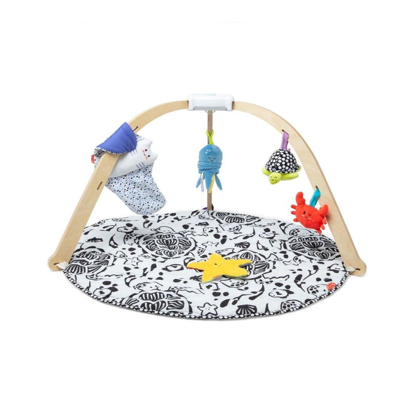 Melissa & Doug Ocean Wooden Baby Play Gym