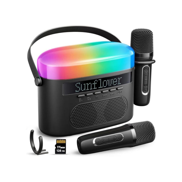 Karaoke Machine with 2 Wireless Mics