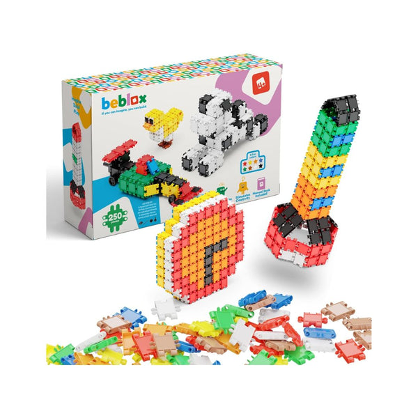 250 Piece Set Of Beblox Building Blocks