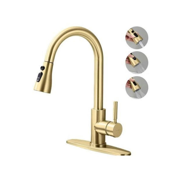 Kitchen Faucet with Pull Down Sprayer
