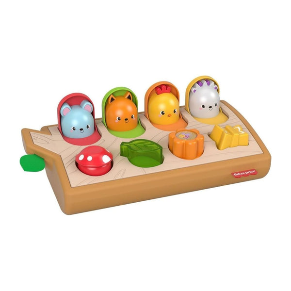 Fisher-Price Hide & Peek Pop-Up Activity Toy