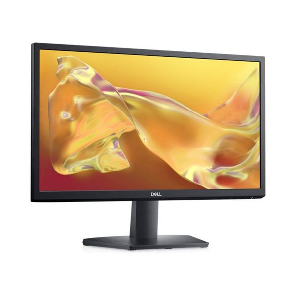 Dell 22-Inch Monitor