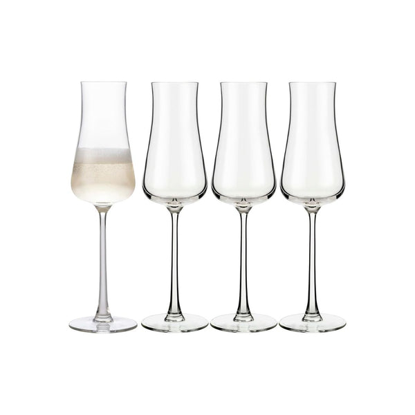 Set of 4 Libbey Signature Stratford Champagne Flute Glasses