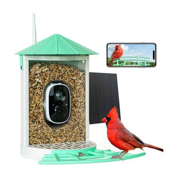 Birdkiss Smart Bird Feeder with Camera