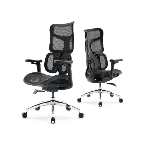 Ergonomic Office Chair with Lumbar Support
