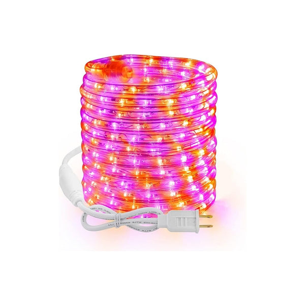Purple & Orange Rope Lights