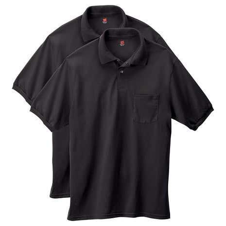 2 Hanes Men’s Polos (4 Colors)