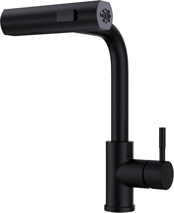Kitchen Faucet with Pull Down Sprayer